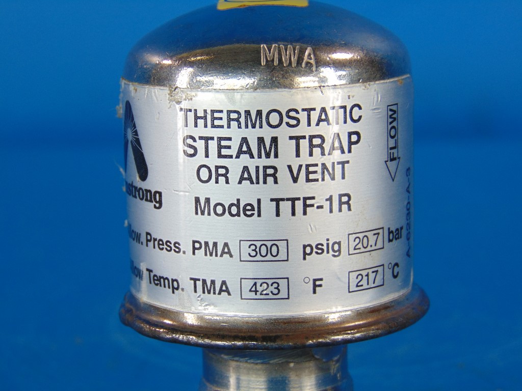 Armstrong TTF-1 R A Stainless Steam Trap Air vent 300psi 3/4" Npt