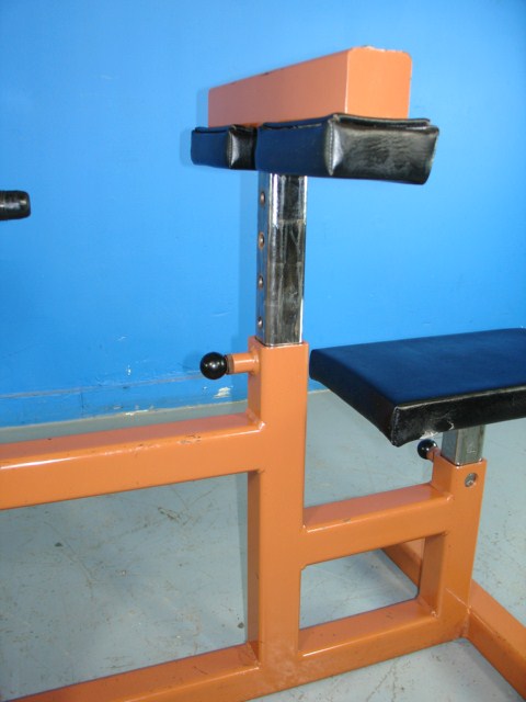 Samson Upper Body 300lb Weight Station LAT PULL