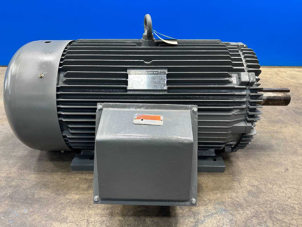 Worldwide Advanced cruster motor 250hp 460V TEFC