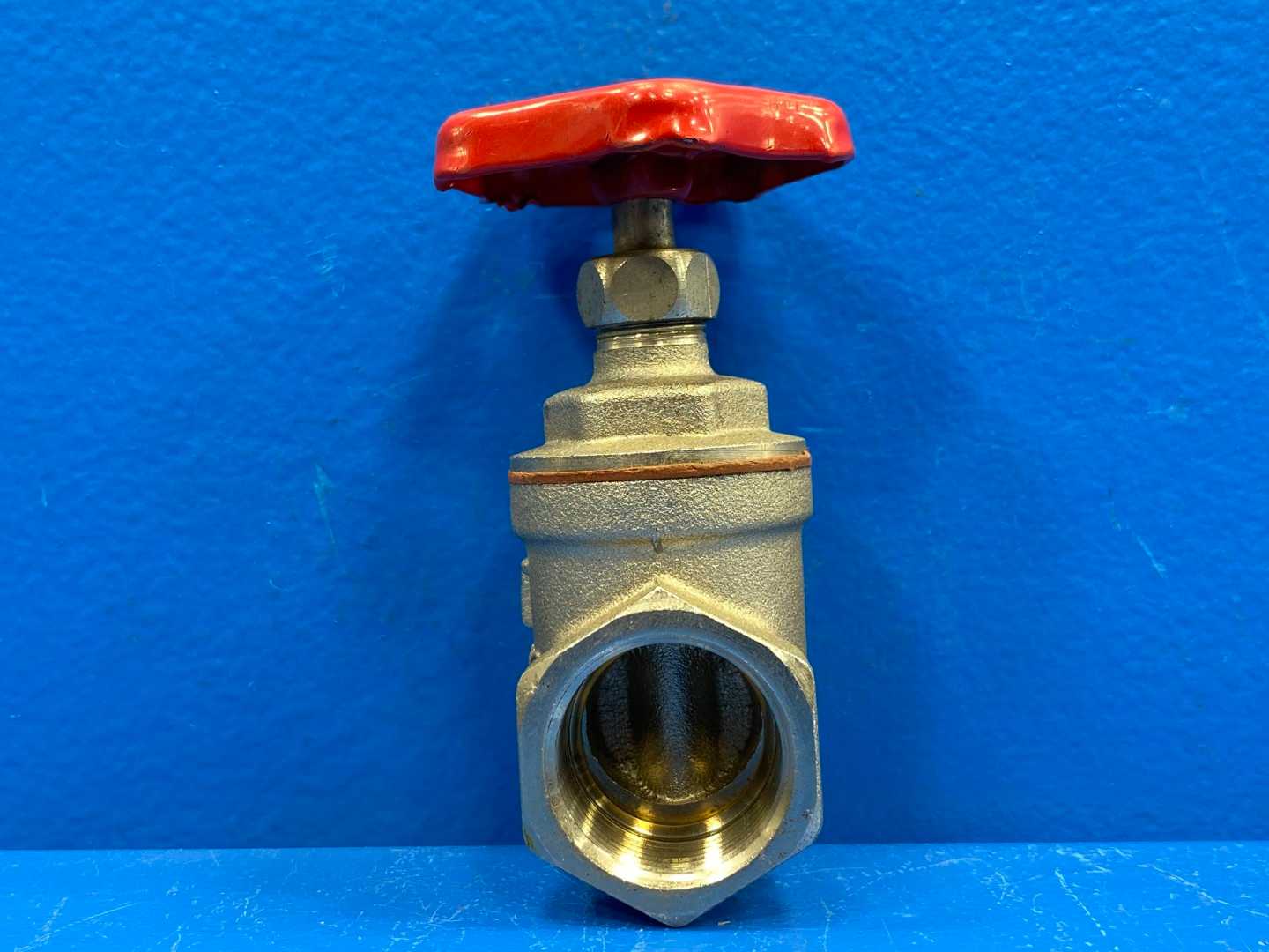 1" Brass Gate Valve (PN-16)