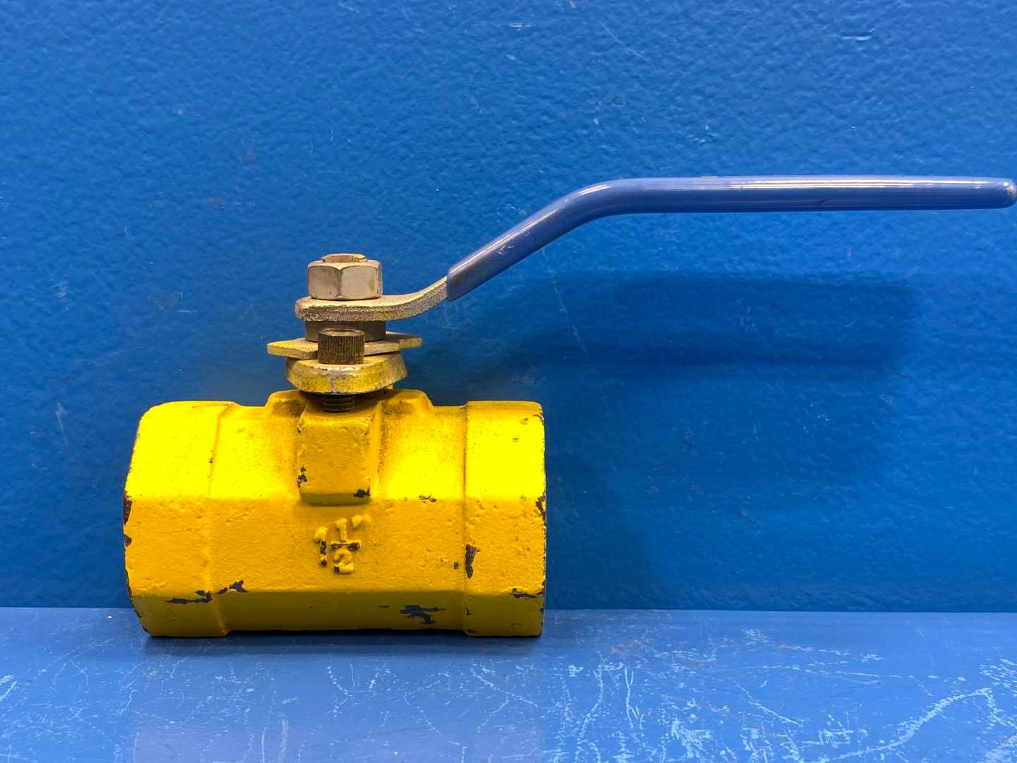 Hays 1-1/2" Ball Valve