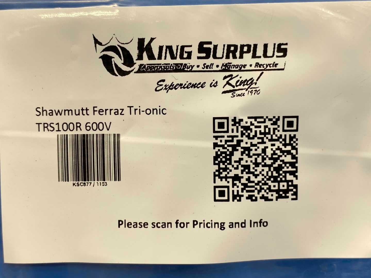 100 AMP Ferraz Shawmut TRS100R Time Delay