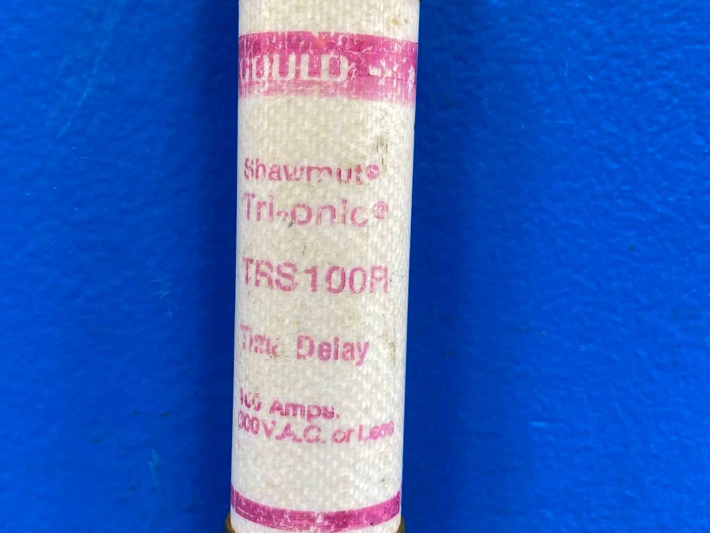 100 AMP Ferraz Shawmut TRS100R Time Delay