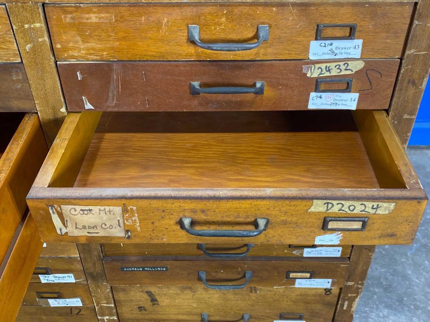 74 Drawer Antique Wood Specimen Cabinet.