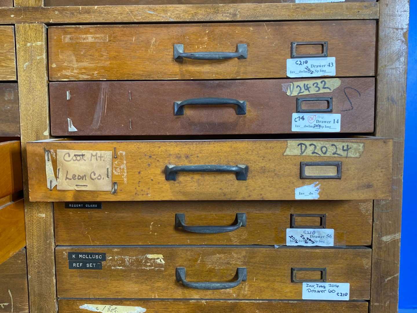 74 Drawer Antique Wood Specimen Cabinet.