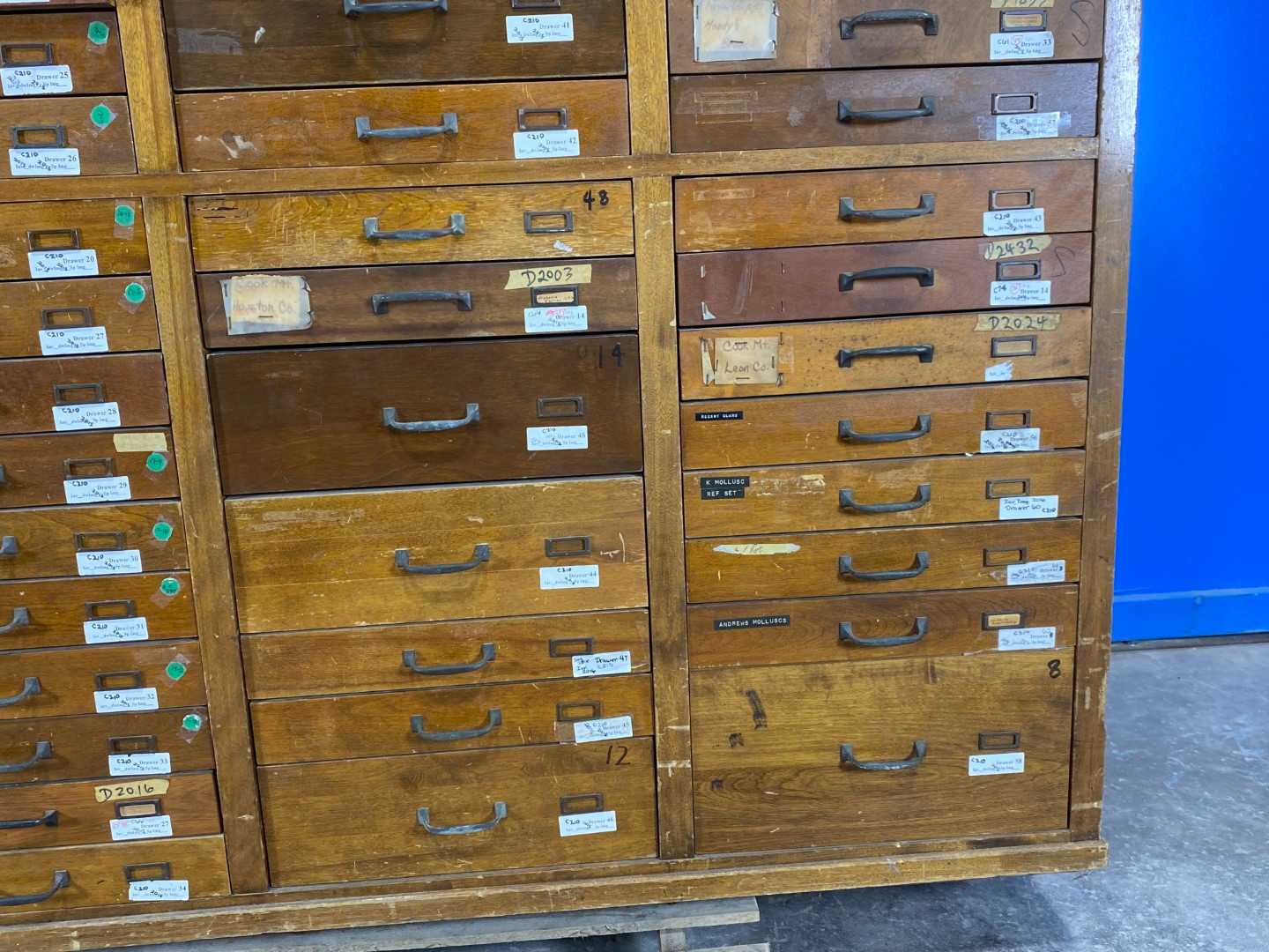 74 Drawer Antique Wood Specimen Cabinet.