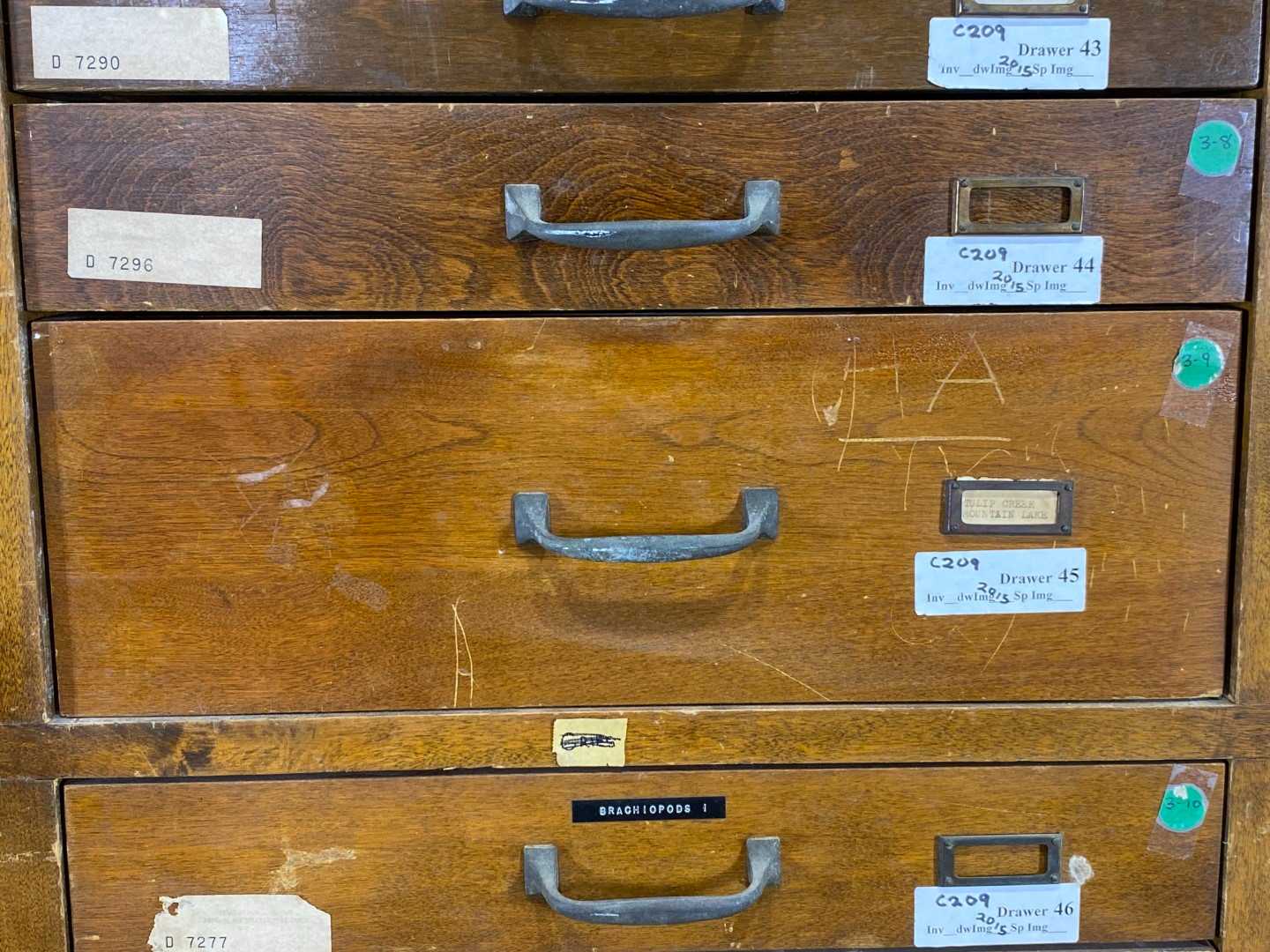 77 Drawer Antique Wood Specimen Cabinet