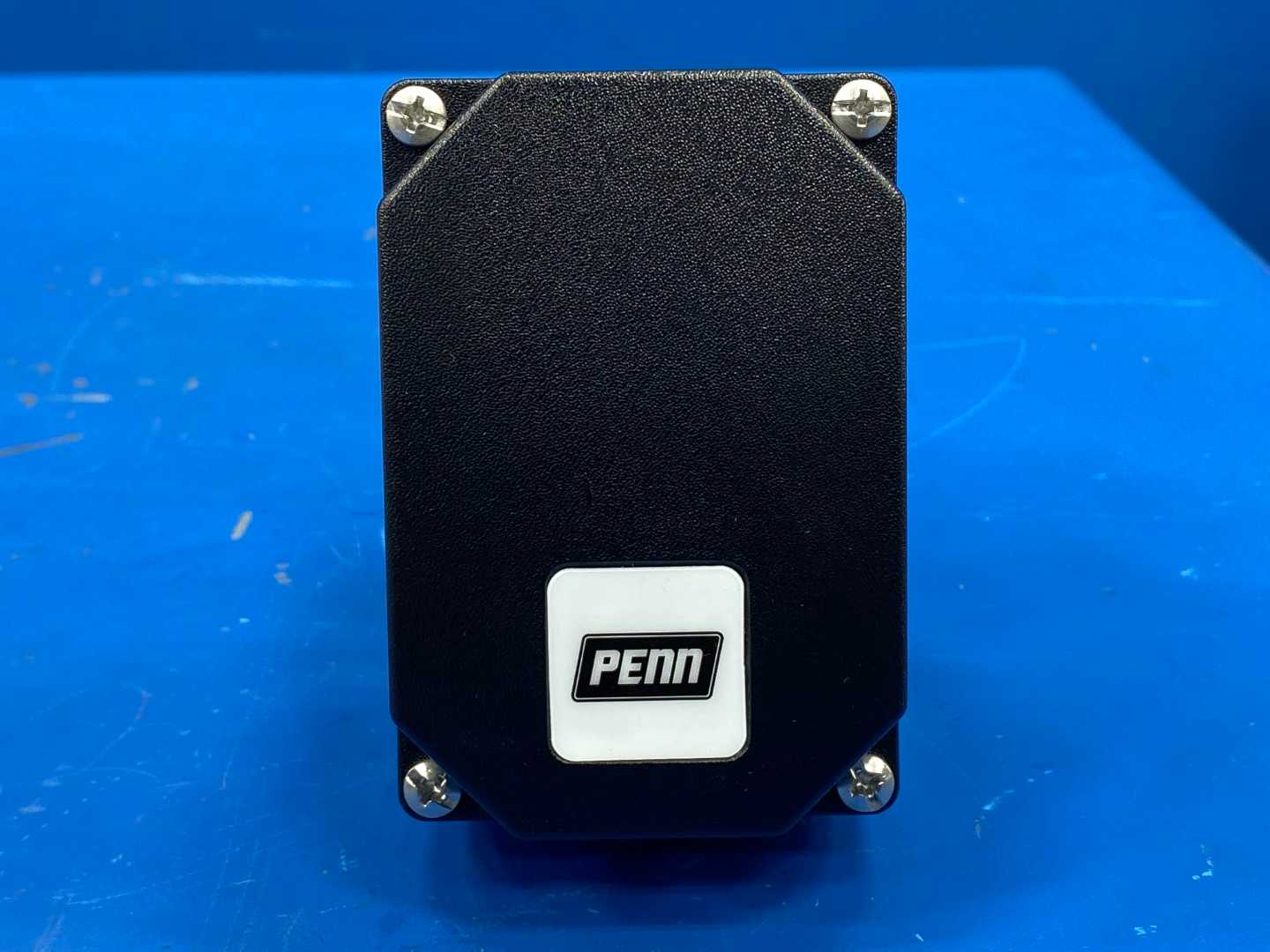 Penn F261MEH-V01C Liquid Flow Switch, 1/2-"14 x 1/2"-14 NPFT, 24/240V