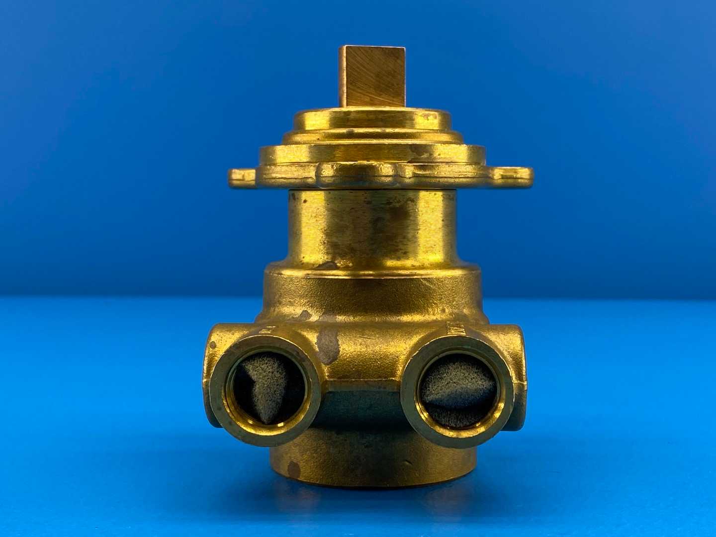 Haskris / Procon 102L100F11XX, Procon Series 2 Brass Rotary Vane Pump