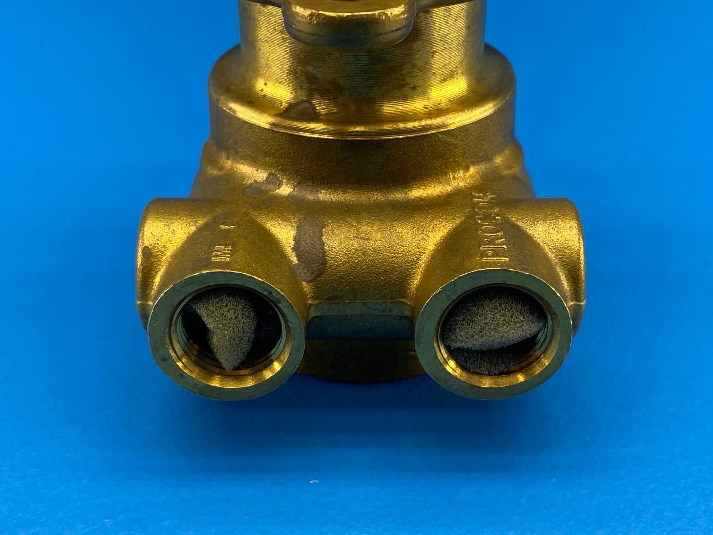 Haskris / Procon 102L100F11XX, Procon Series 2 Brass Rotary Vane Pump