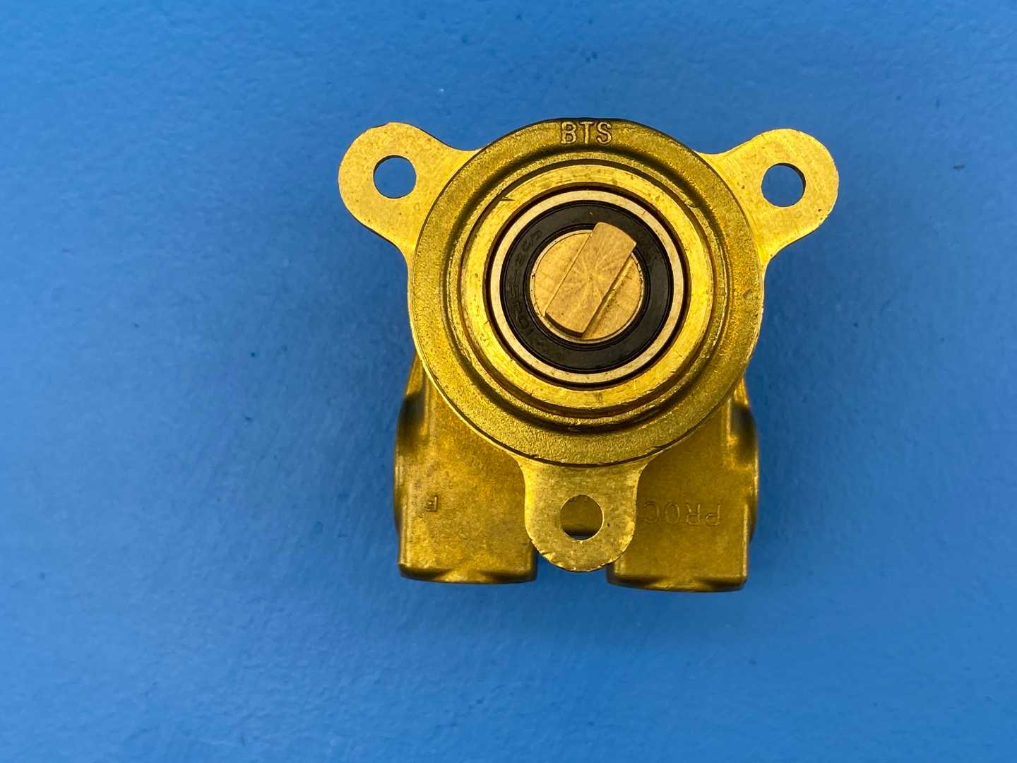 Haskris / Procon 102L100F11XX, Procon Series 2 Brass Rotary Vane Pump