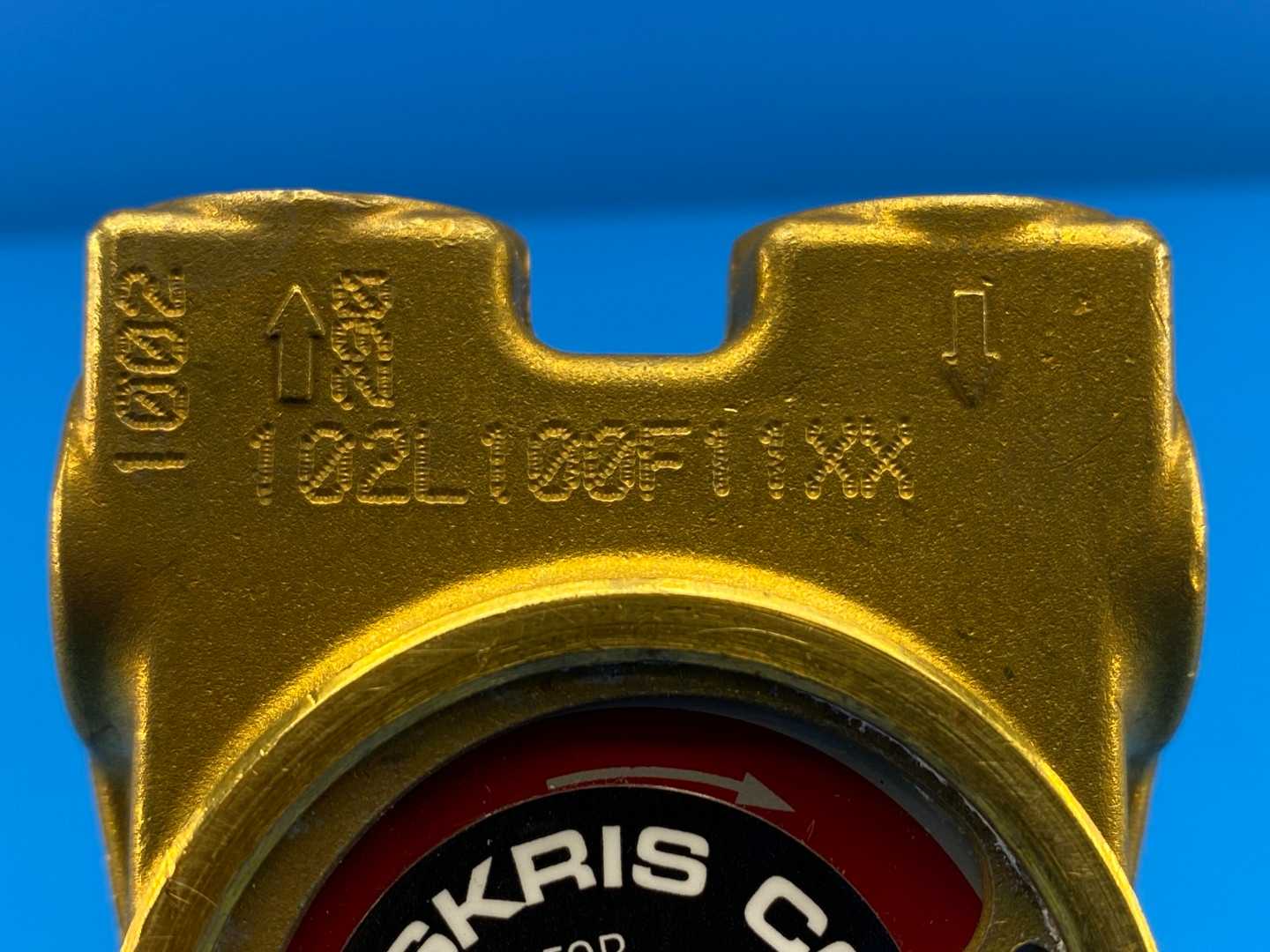 Haskris / Procon 102L100F11XX, Procon Series 2 Brass Rotary Vane Pump