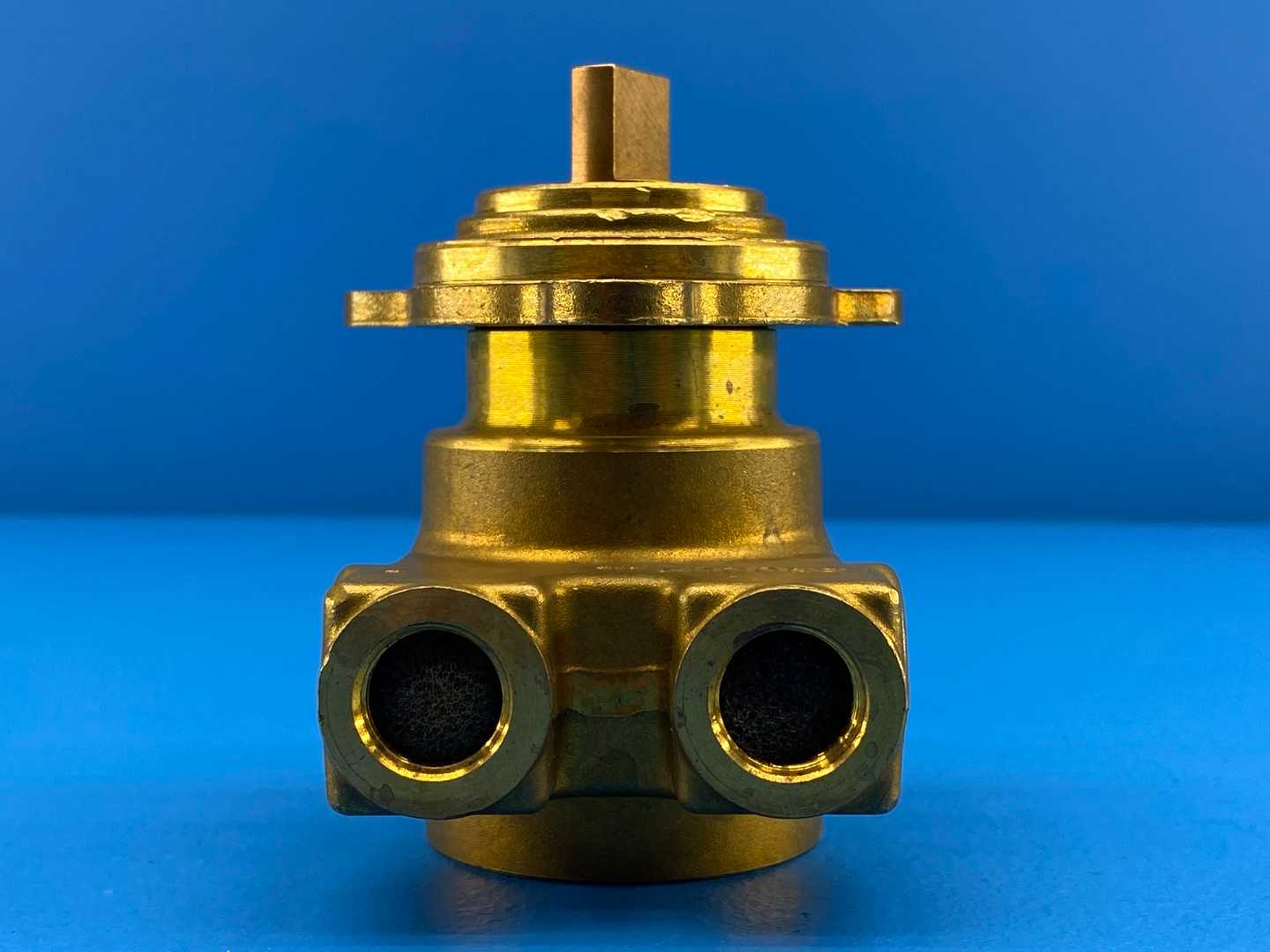 Haskris / Procon 102L100F11XX, Procon Series 2 Brass Rotary Vane Pump