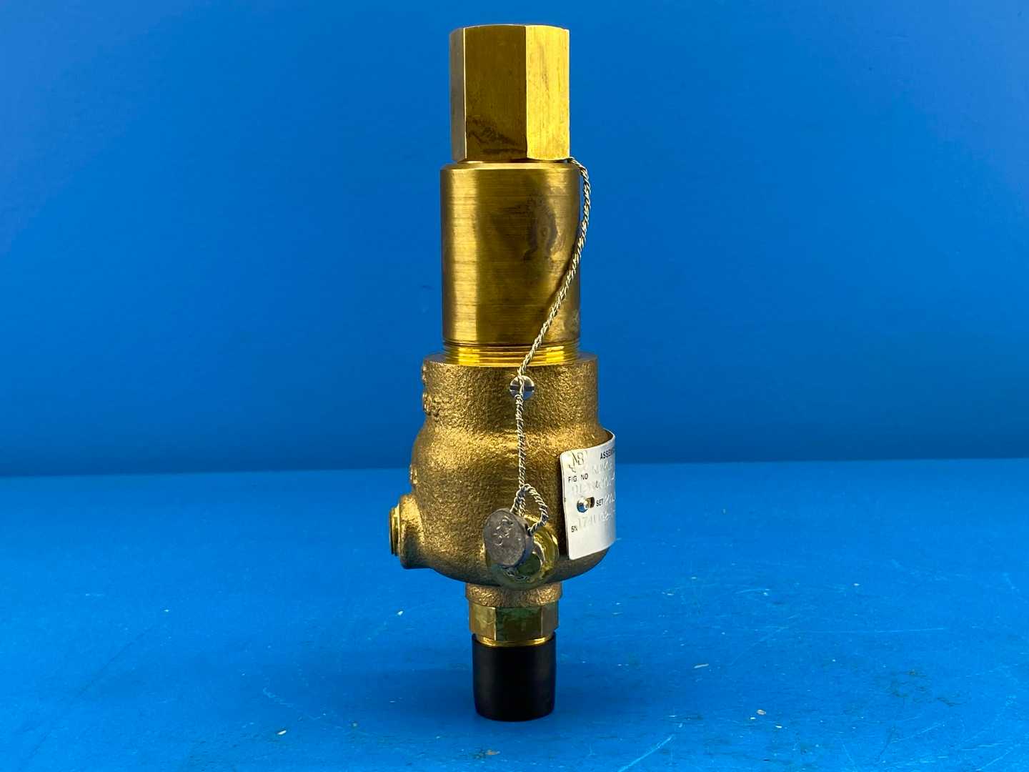 Kunkle 912BDCM01-KE, 1/2" Safety Valve Threaded Cap .50" x .75" Gas ASME Section VIII and XIII (UV)