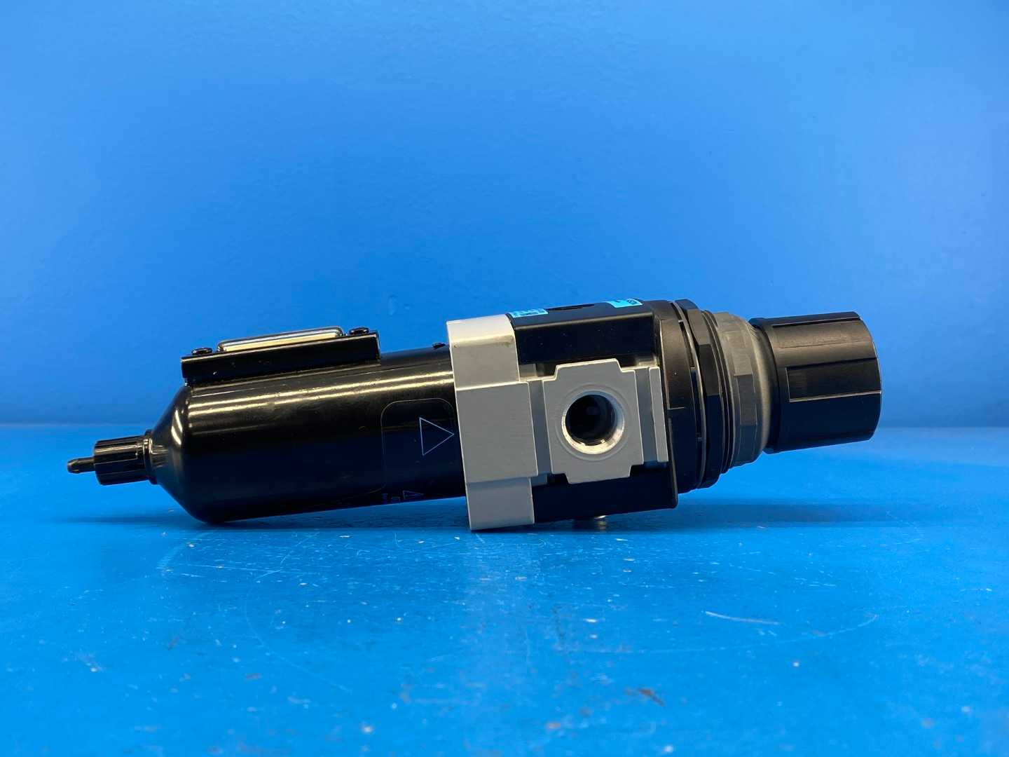 Wilkerson B28-04-FL00B Filter Regulator, 1/2" NPT, 0–125 PSI Range, 250 PSIG Max