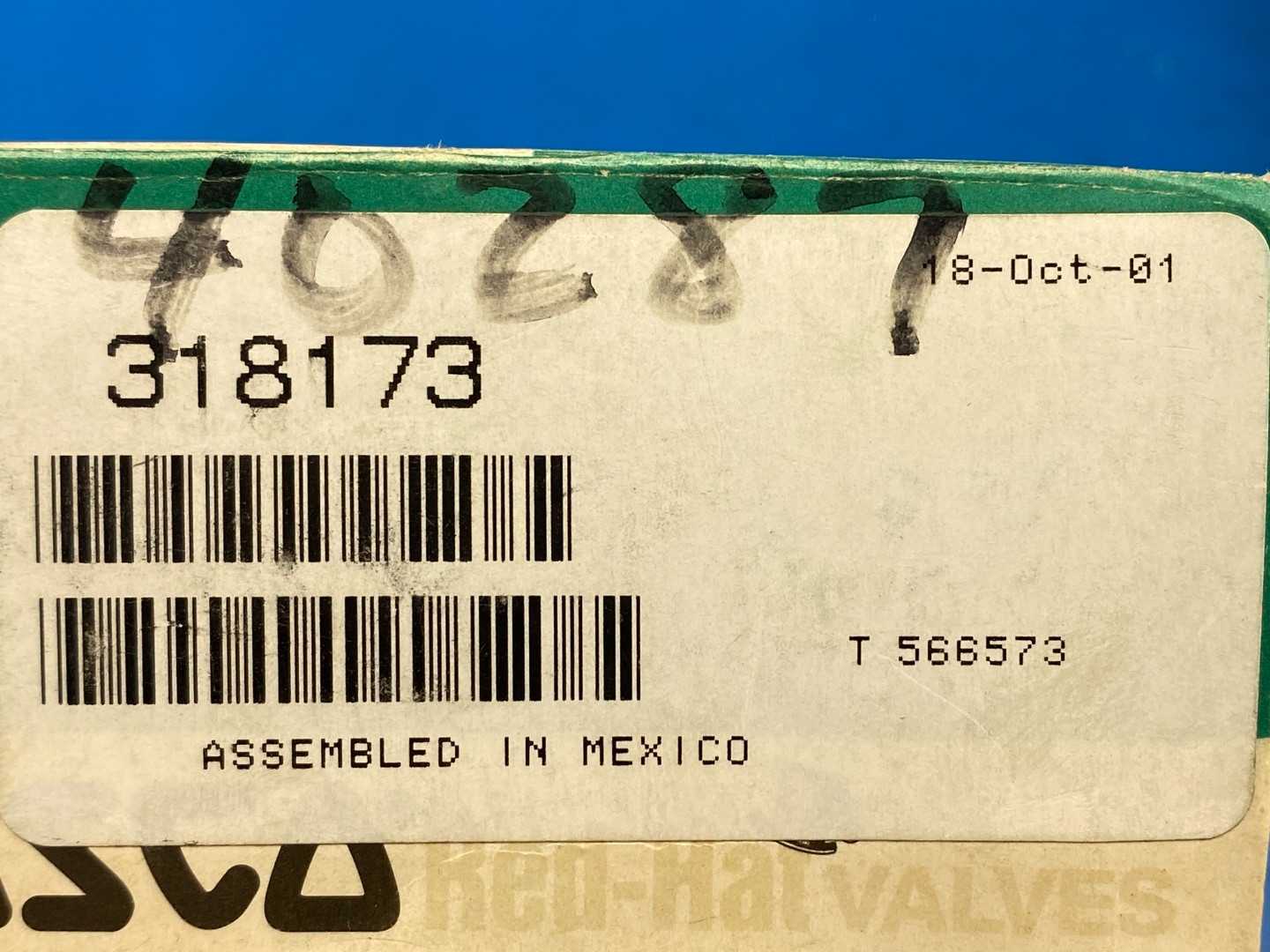 ASCO 318-173 Repair Kit