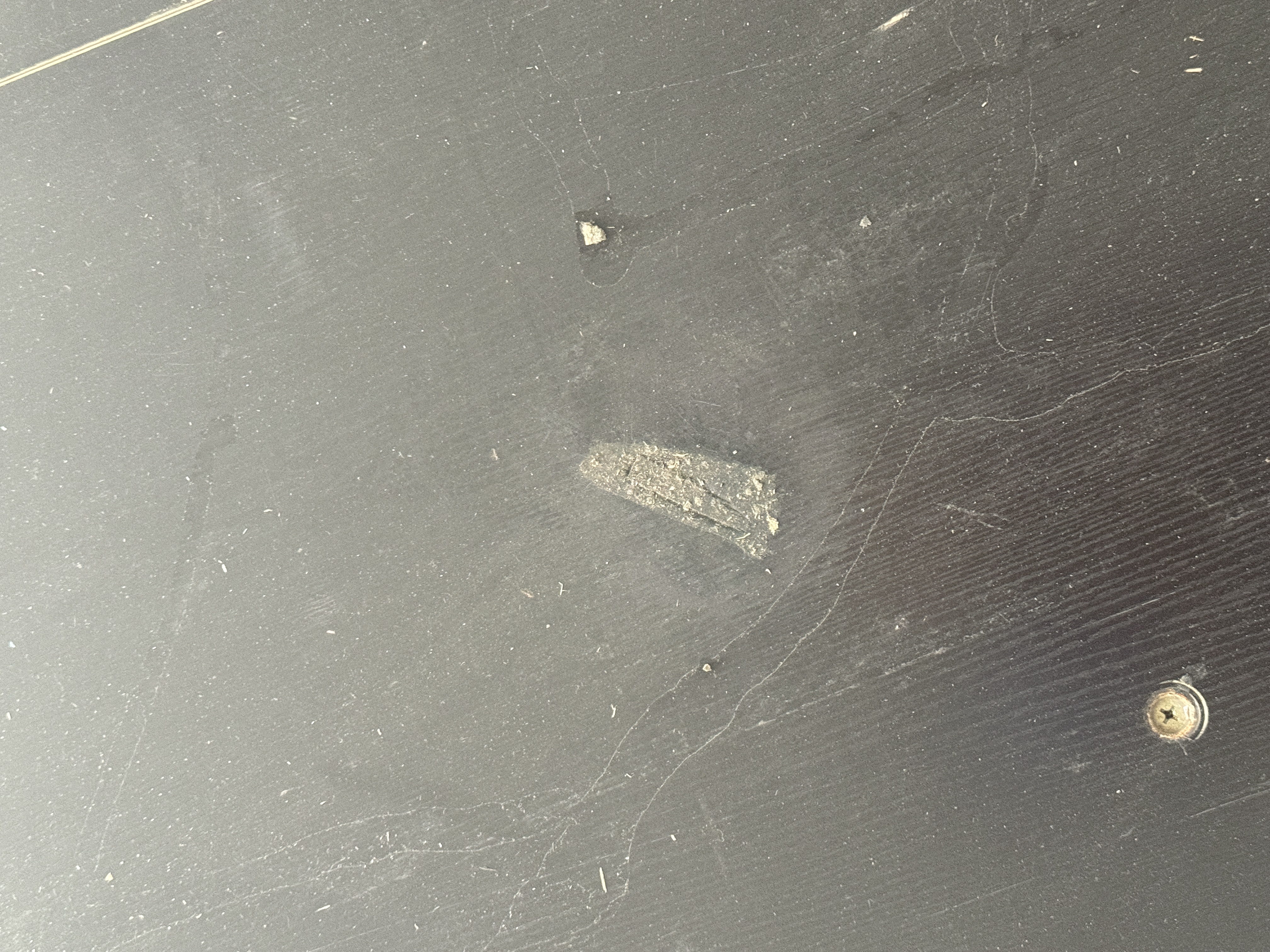 1 Trip 40ft High Cube Container - RAL7022 - 220096